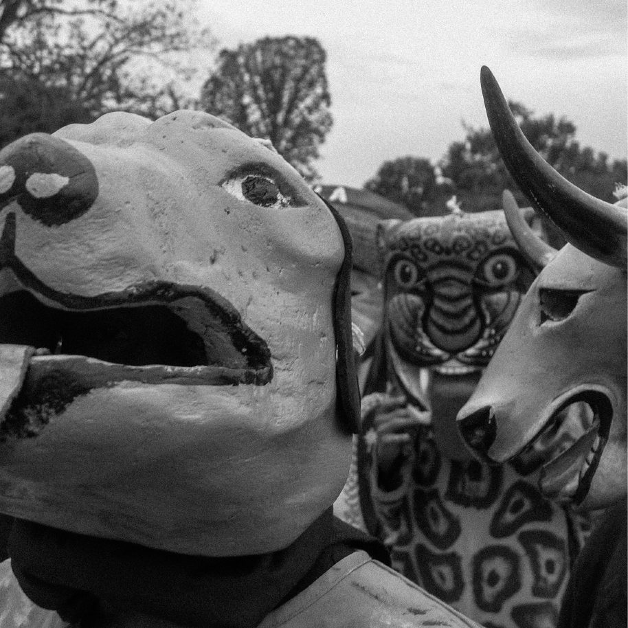 Ceremonial bull effigies made of papier-mâché, from REINKARNASI