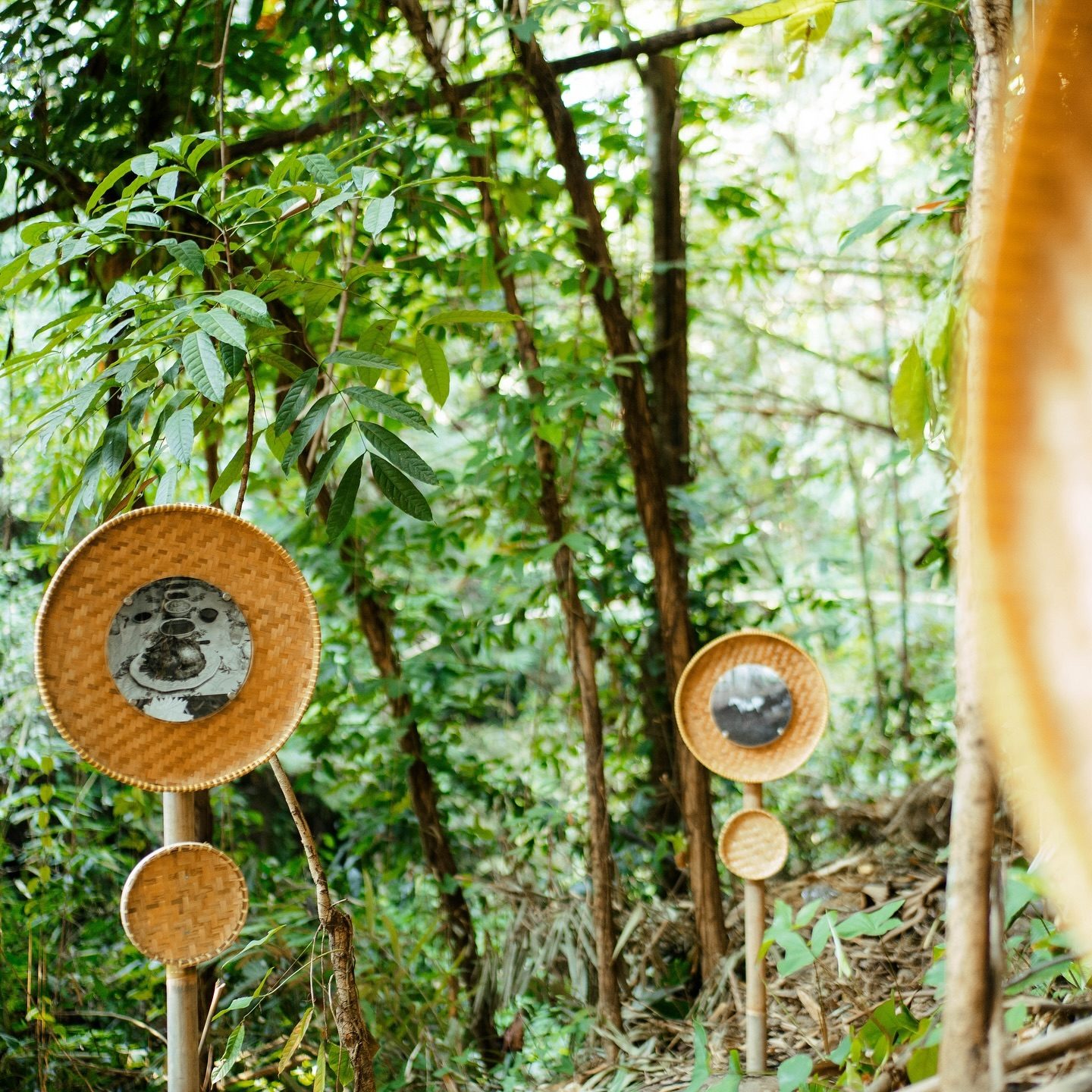 A print hung on a tree at Omah Lor Project, Pakem