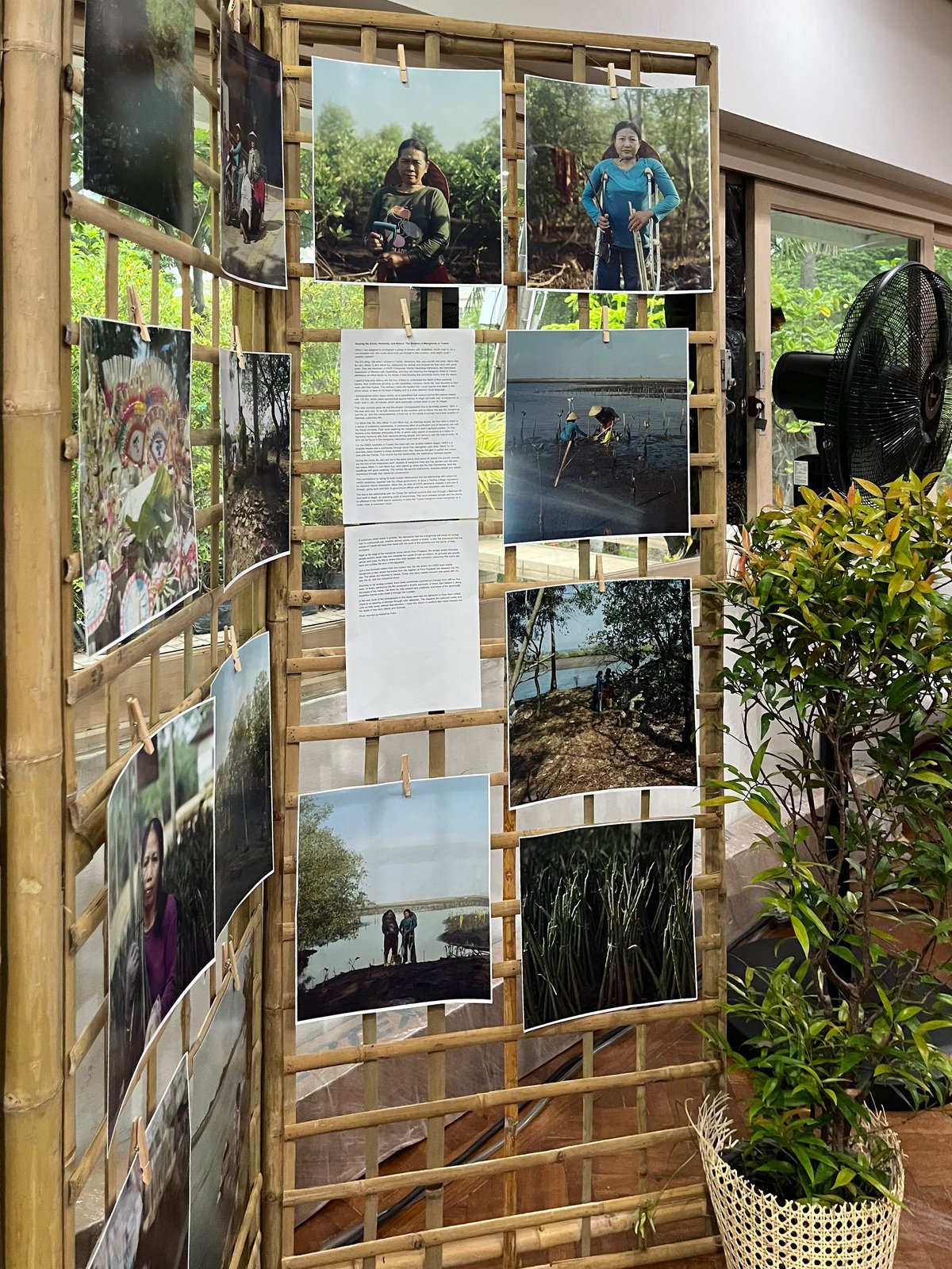 Prints from Tuwed and the essay text, hung with wooden pegs on a bamboo screen