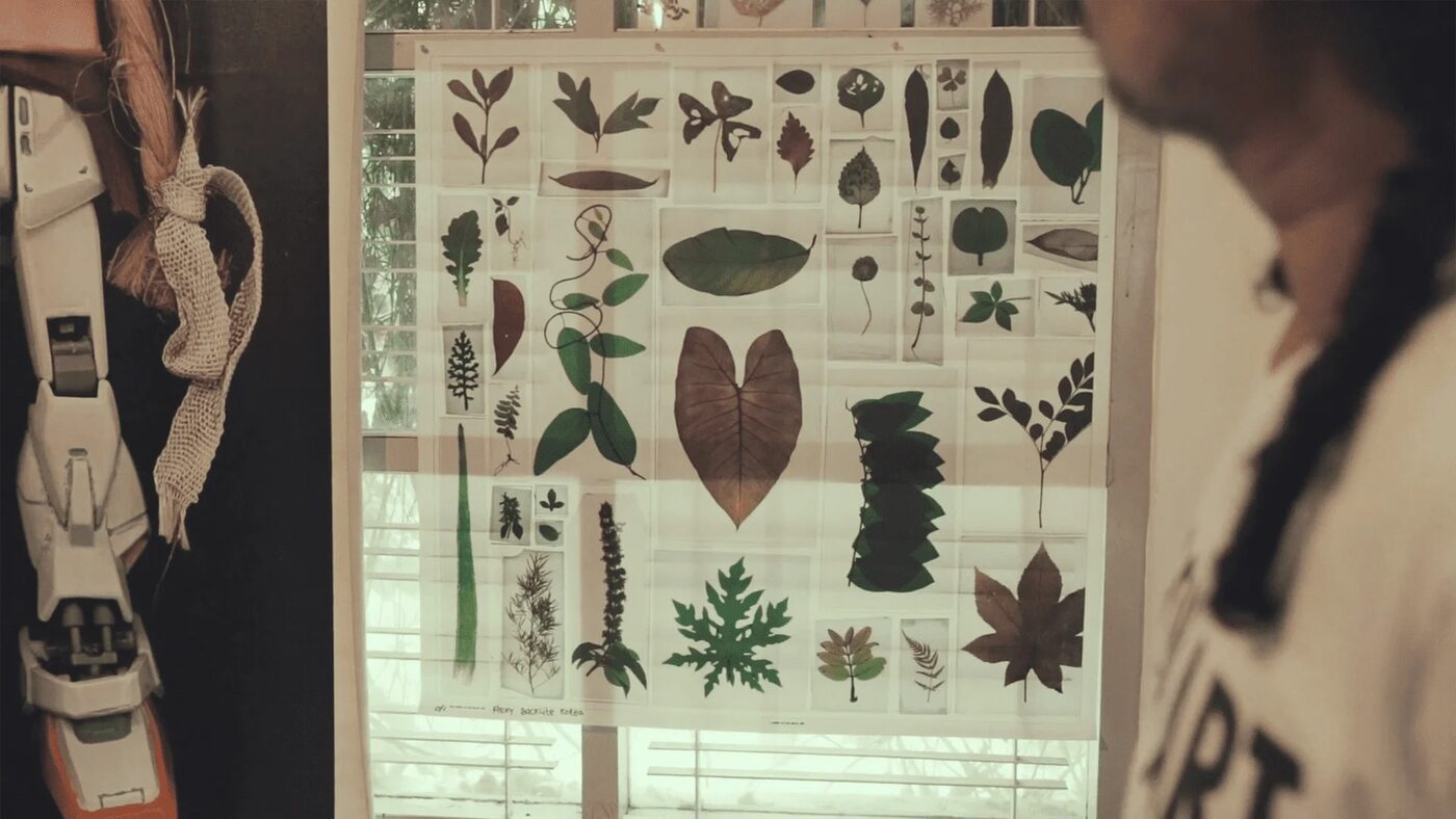 A wall chart of pressed plant specimens being studied, from Atas Nama Daun