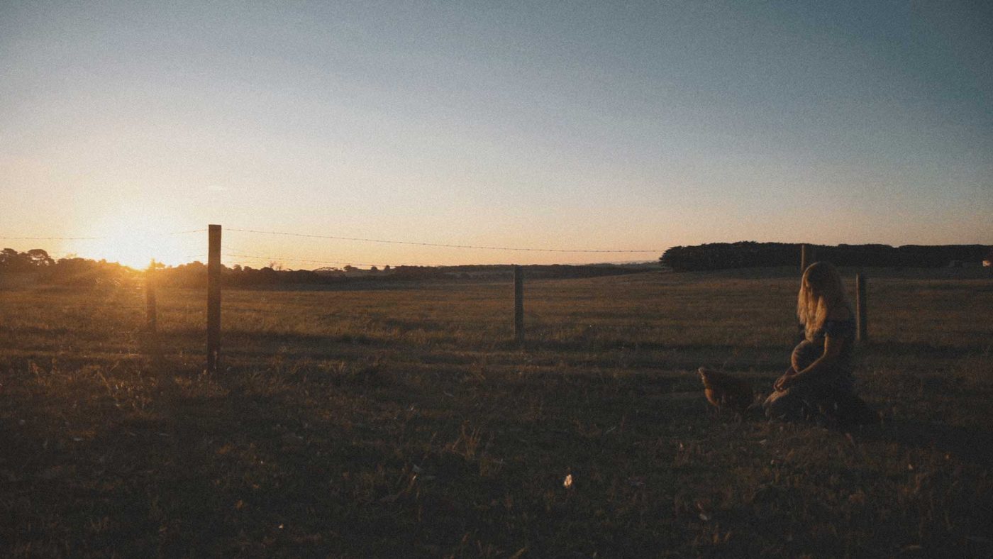 A field at sunset, from the documentary Love Birth Life