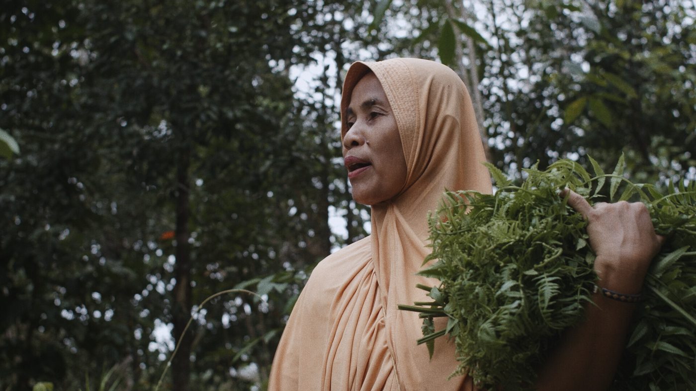 A woman carrying cut greens beside her home in Sepaku, from A Tale of the Stolen River